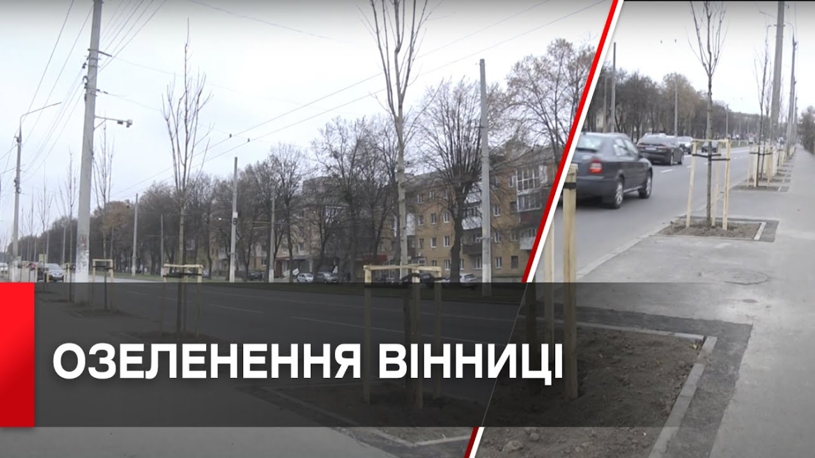 Embedded thumbnail for У Вінниці висаджують клени по вулиці Пирогова