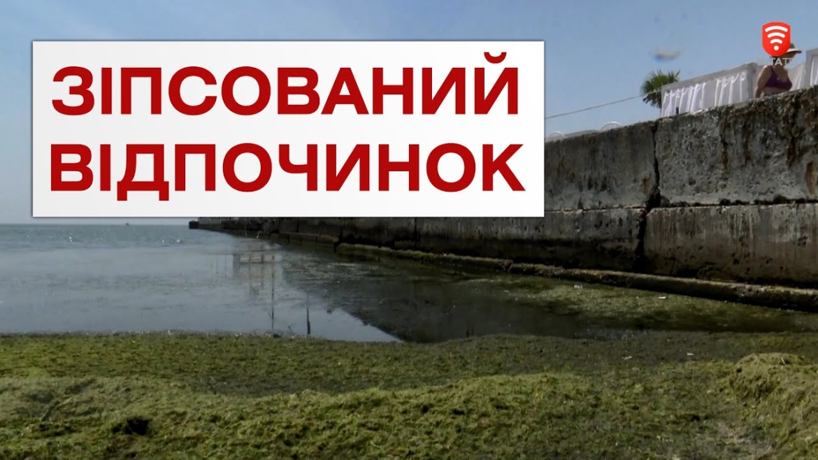 Embedded thumbnail for У Одесі &quot;цвіте&quot; море