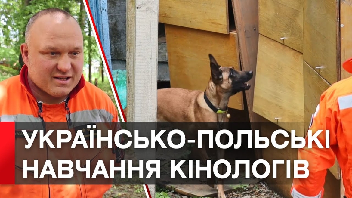 Embedded thumbnail for Вінницькі кінологи обмінялися досвідом з польськими колегами