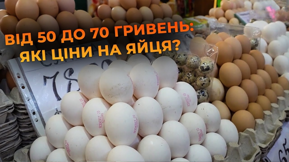 Embedded thumbnail for Домашні яйця: скільки коштують на ринку і як вибрати свіжий та якісний продукт