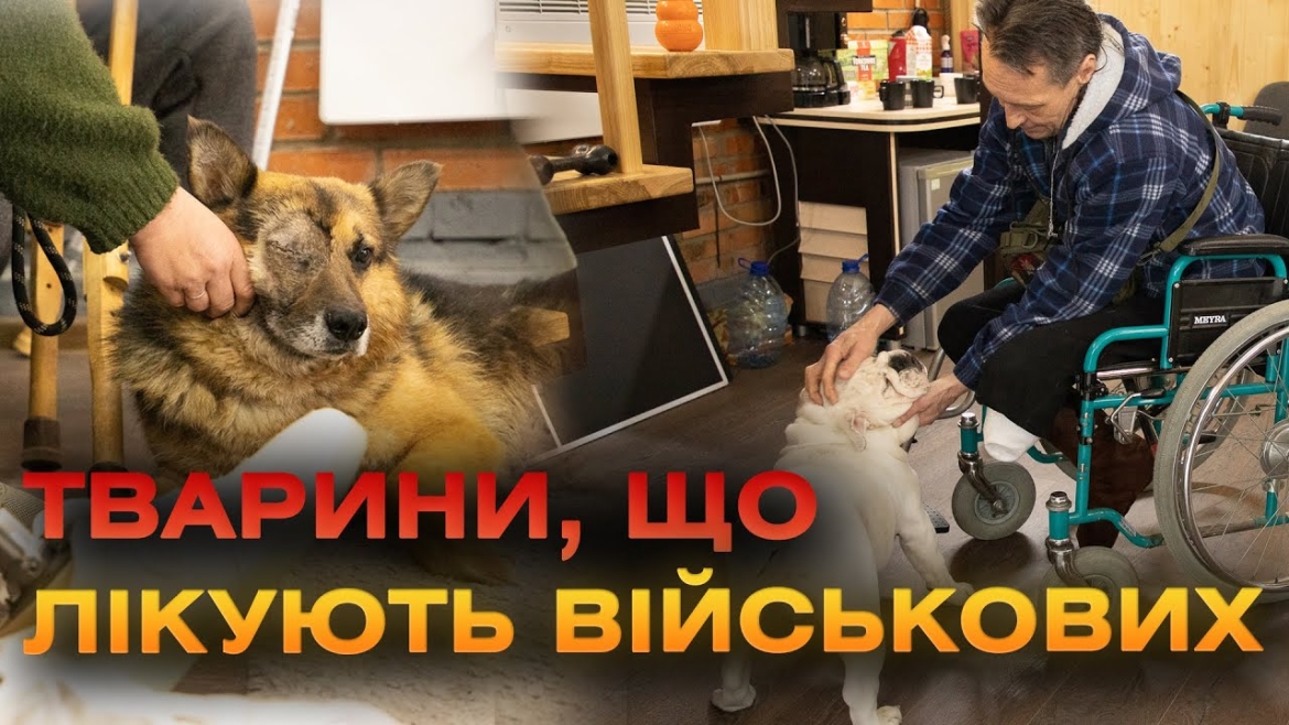 Embedded thumbnail for На Вінниччині діє реабілітаційний центр для поранених воїнів і постраждалих від війни тварин