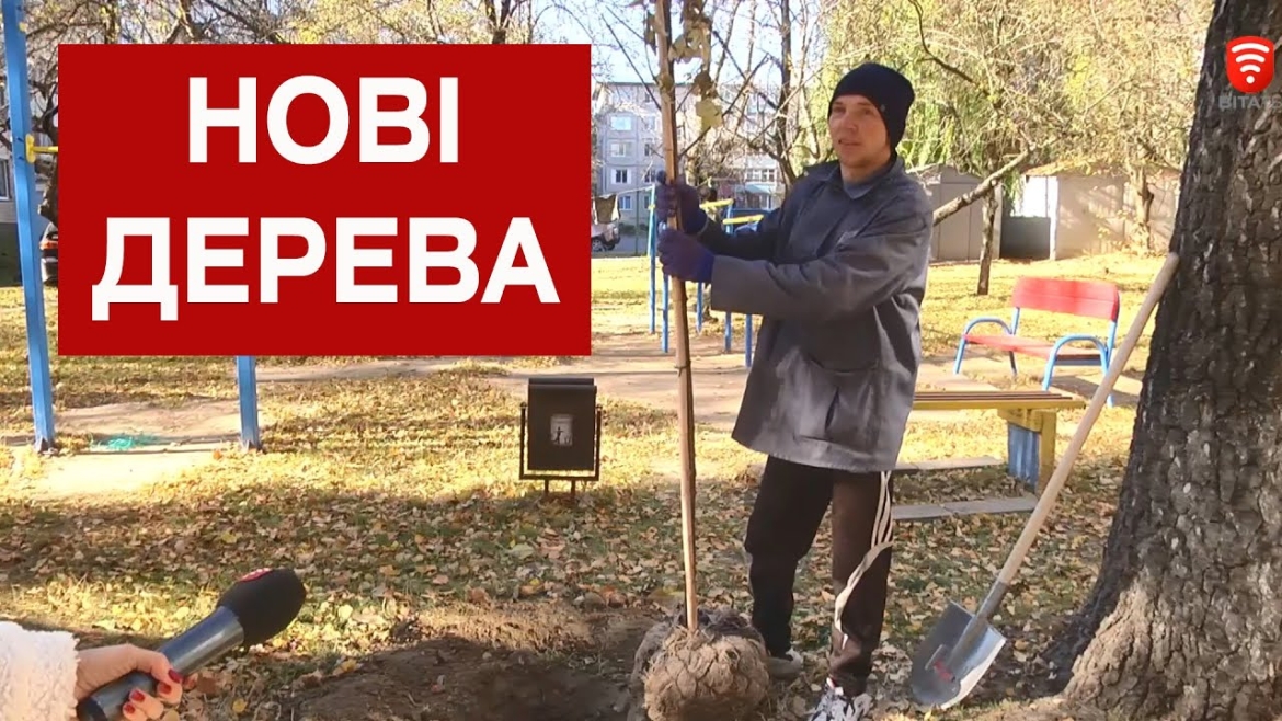 Embedded thumbnail for 800 дерев висадять у дворах вінницьких багатоповерхівок