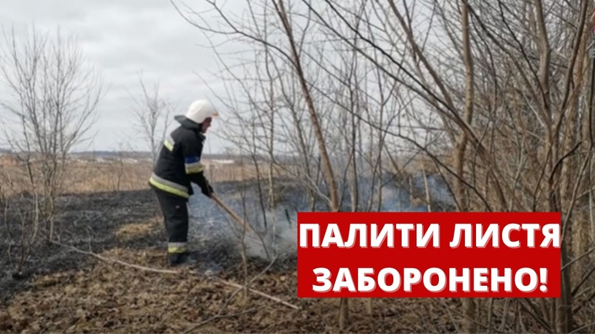 Embedded thumbnail for У Вінницькій міськраді знов нагадують громадянам про заборону палити опале листя