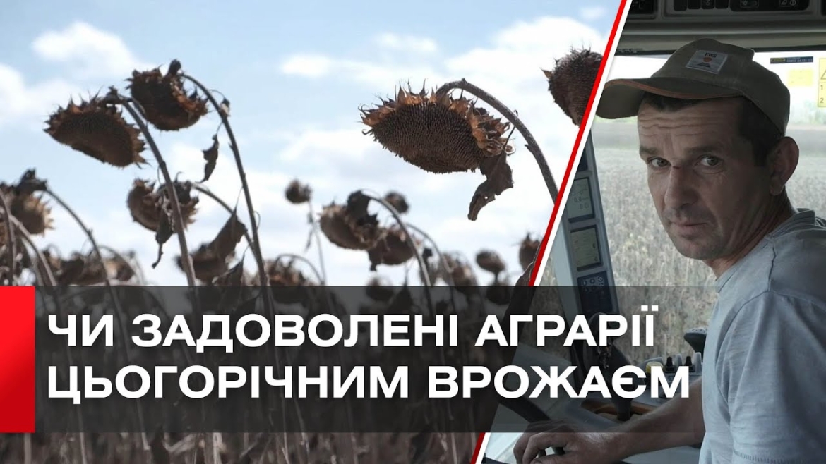 Embedded thumbnail for Як на полях Вінниччини збирають соняшник