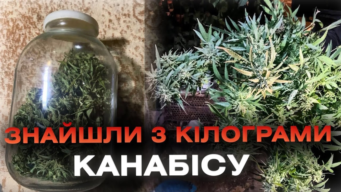 Embedded thumbnail for У Вінницькому районі в наркодилера вилучили понад 3 кг канабісу