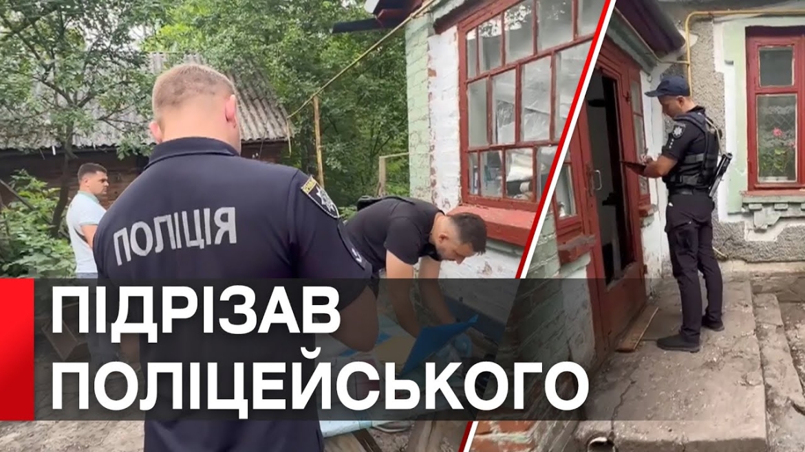 Embedded thumbnail for На Вінниччині домашнє насильство закінчилось нападом на поліцейського