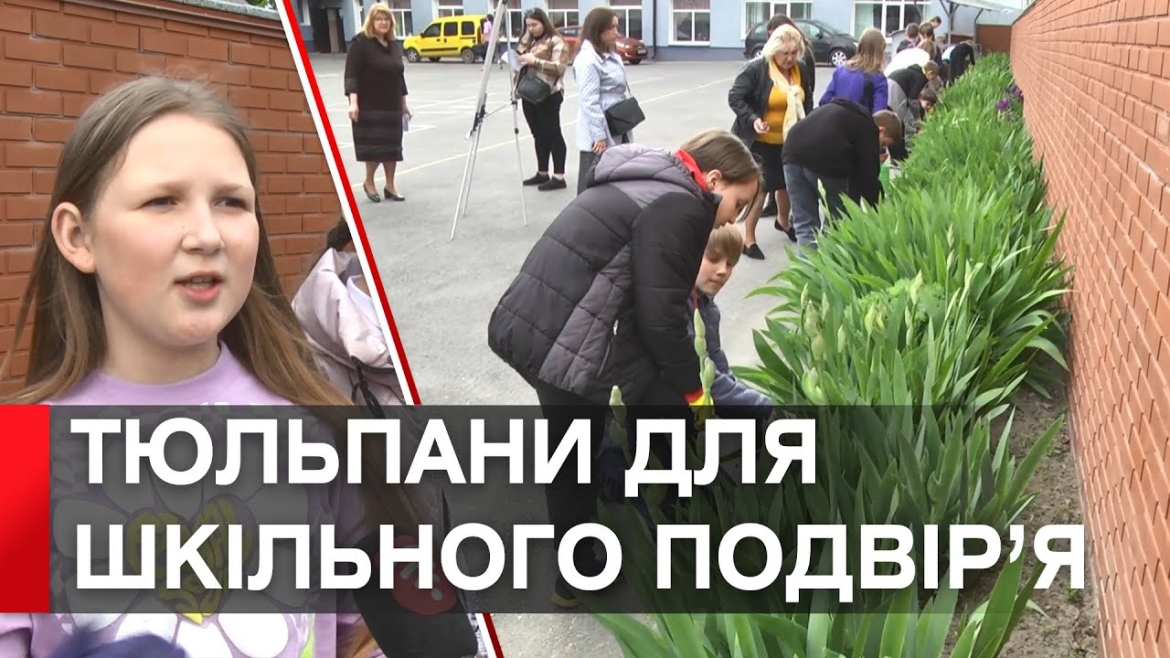 Embedded thumbnail for Вінницькі школярі висаджують тюльпани у рамках проєкту «Flowers4School»