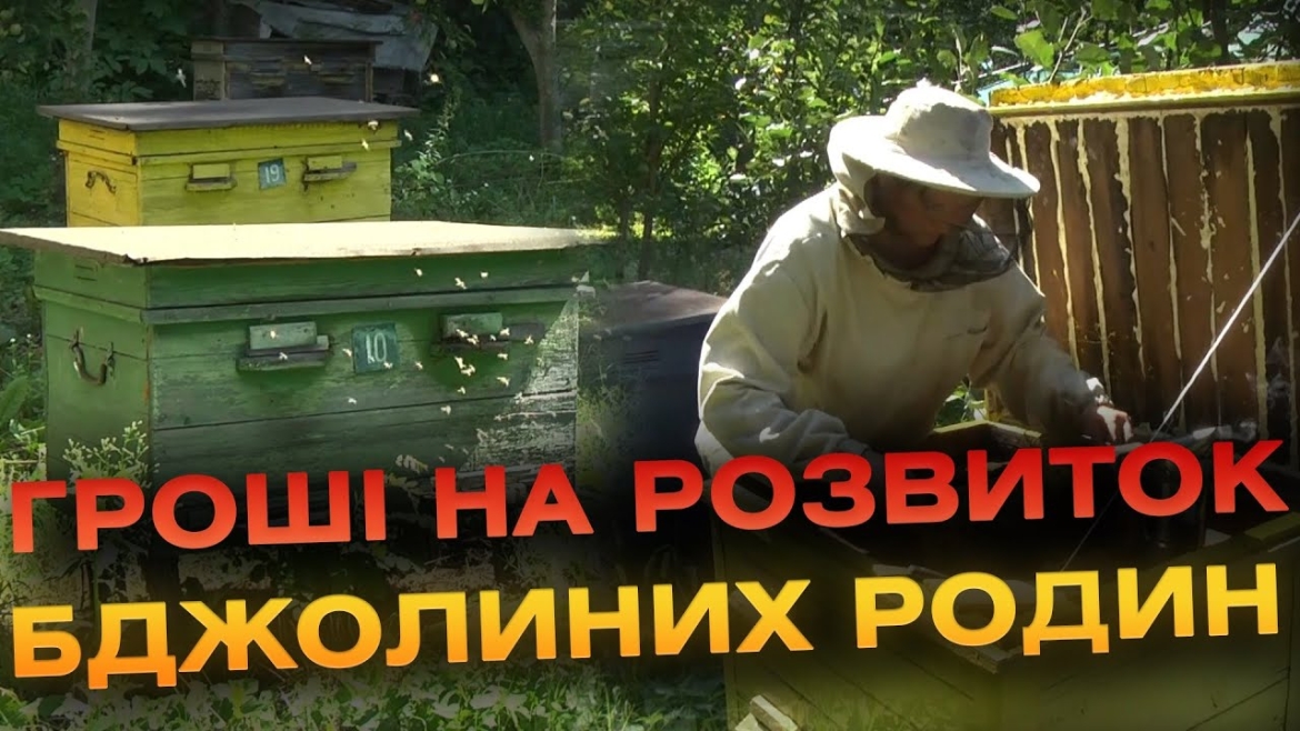 Embedded thumbnail for У Вінниці діє безповоротна фінансова підтримка бджолярів