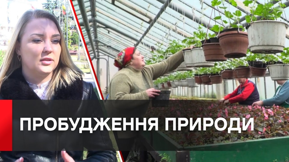 Embedded thumbnail for У «Вінницязеленбуді» розповіли про роботу напередодні весняного потепління