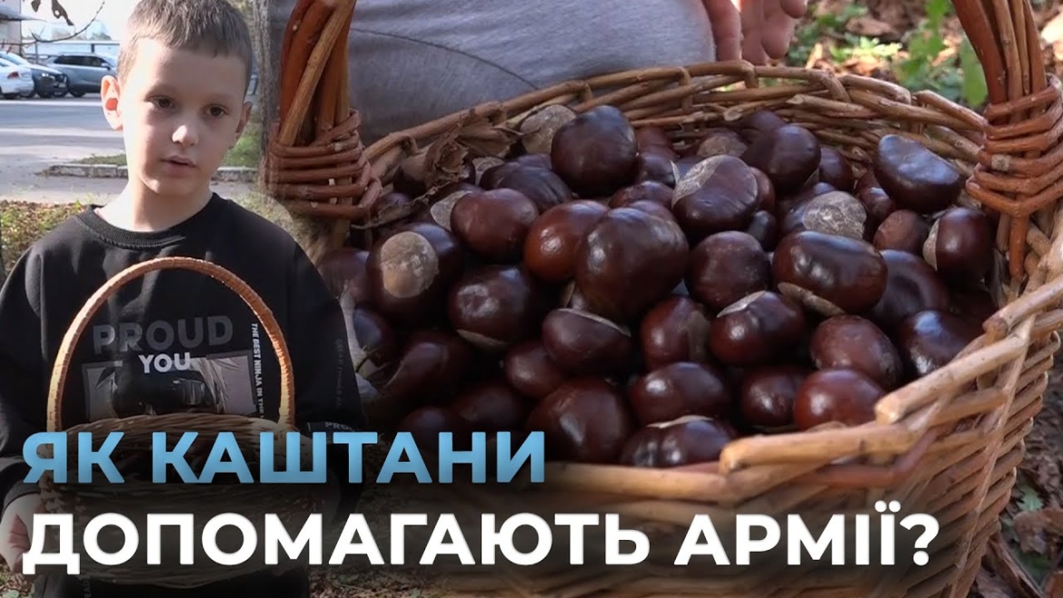 Embedded thumbnail for &quot;Каштановий донат&quot; у Вінниці: як маленькі волонтери збирають кошти для військових