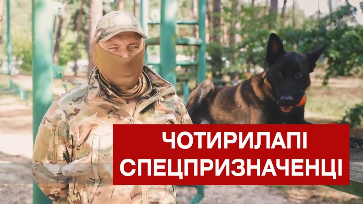 Embedded thumbnail for У Вінниці чотирилапі спецпризначенці допомагають розкривати злочини