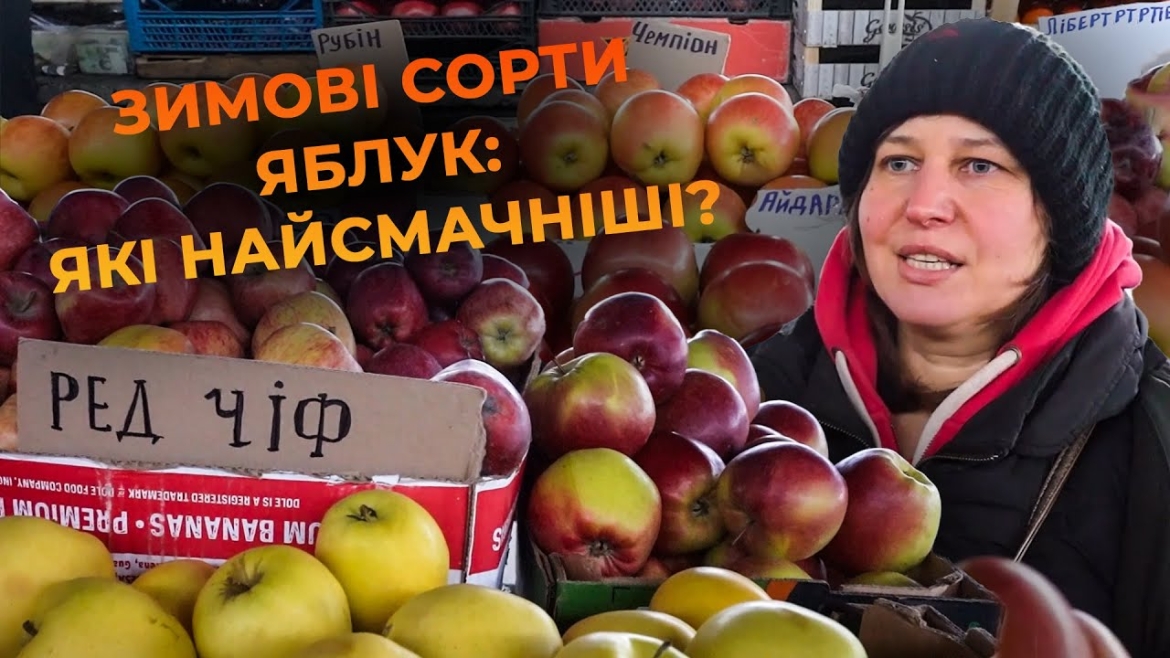 Embedded thumbnail for Найкращі сорти яблук, які витримають морози: як обрати, що приготувати та які ціни на ринку?