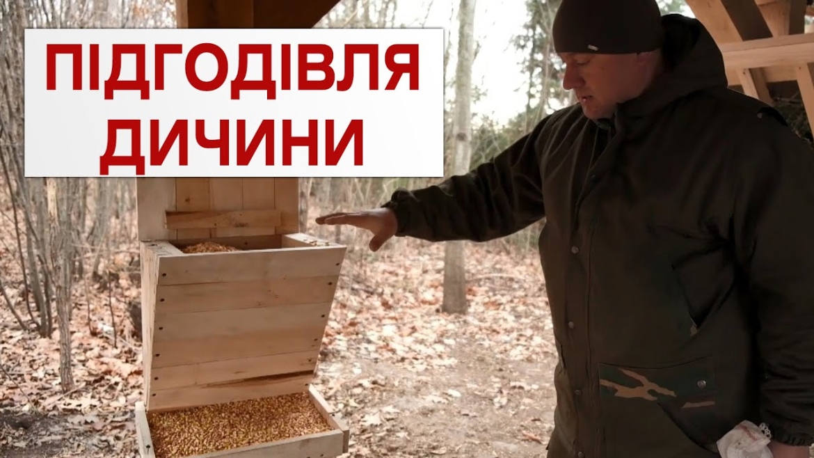 Embedded thumbnail for В лісах Вінниччини встановлюють годівниці для диких тварин