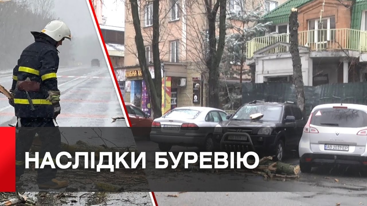 Embedded thumbnail for Повалені дерева та відключення світла. Наслідки негоди на Вінниччині