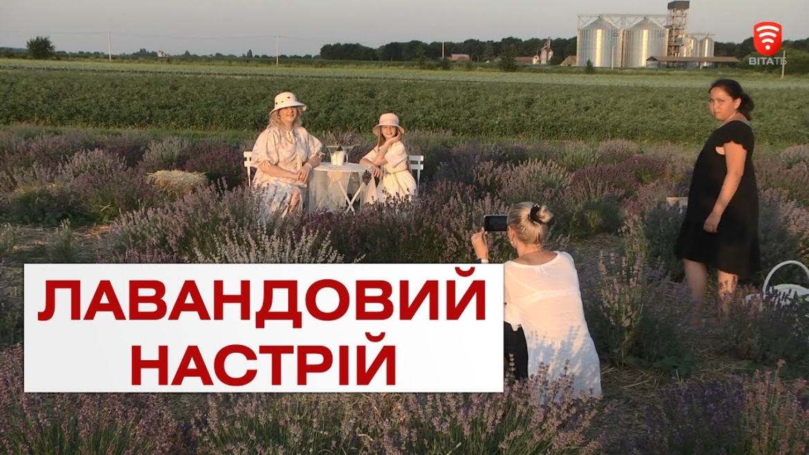 Embedded thumbnail for Як завершився лавандовий фото-сезон у Ксаверівці?