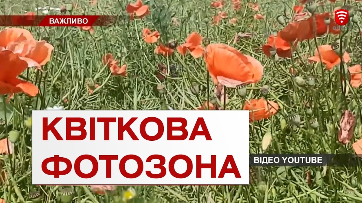 Embedded thumbnail for Безкоштовна квіткова фотозона під Вінницею