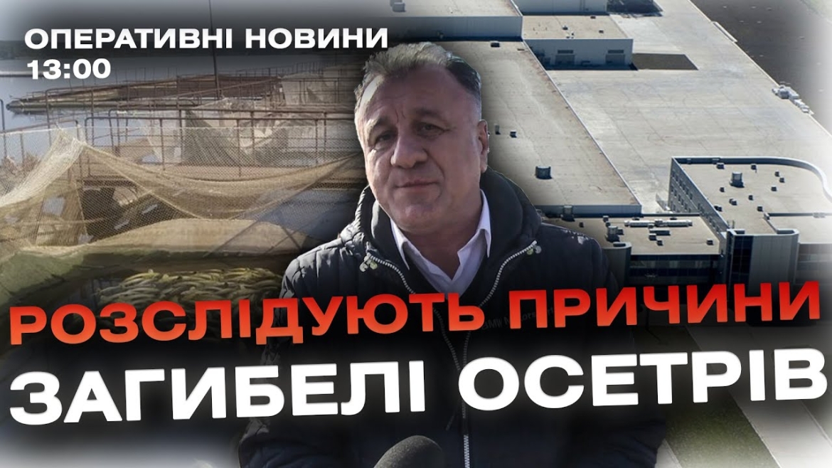 Embedded thumbnail for Оперативні новини Вінниці за 25 жовтня 2023 року, станом на 13:00