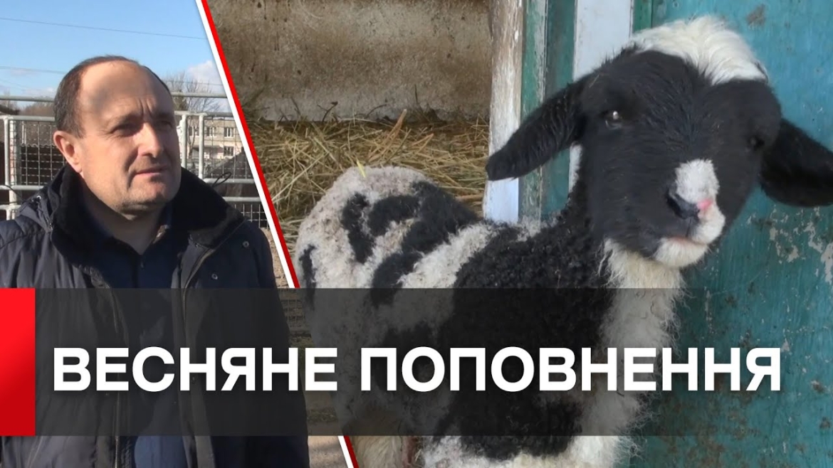 Embedded thumbnail for У Подільському зоопарку весняний бебібум