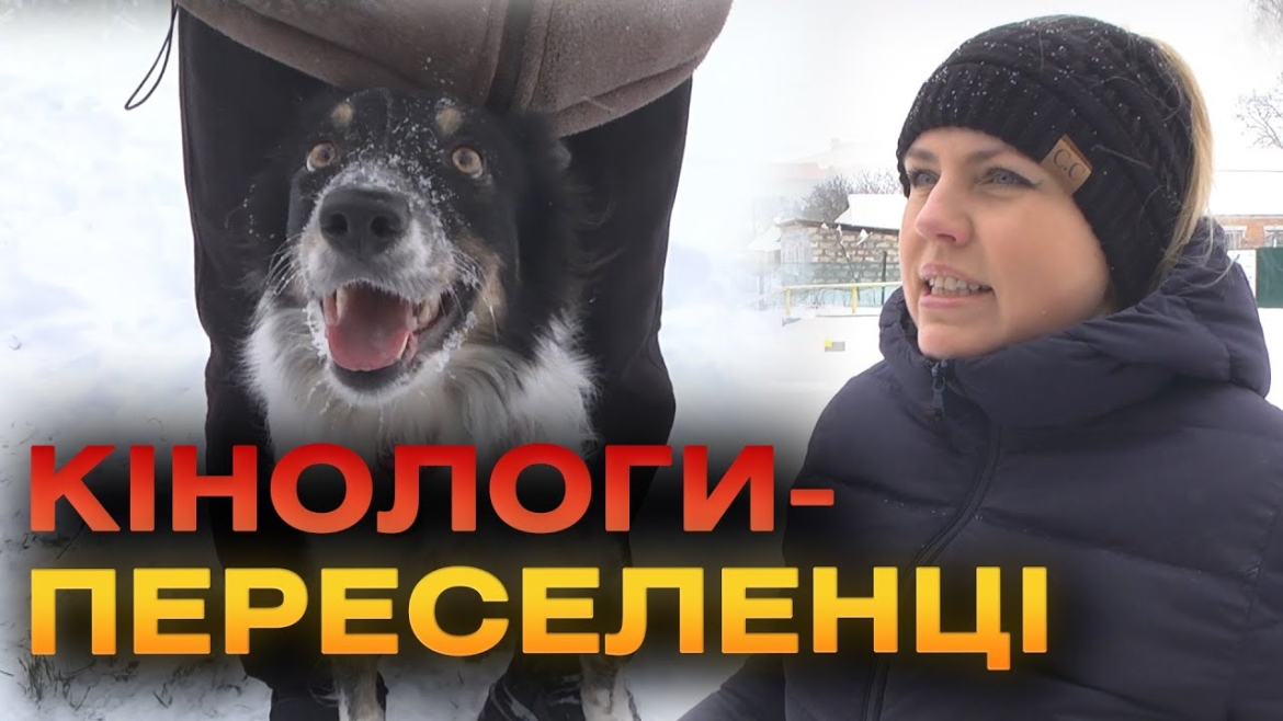 Embedded thumbnail for У Вінницьких Хуторах діти-переселенці «працюють» кінологами