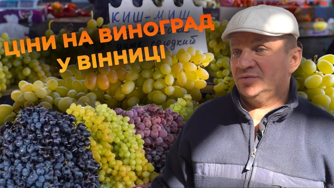 Embedded thumbnail for Виноград на ринку Вінниці: які сорти та за якими цінами можна придбати