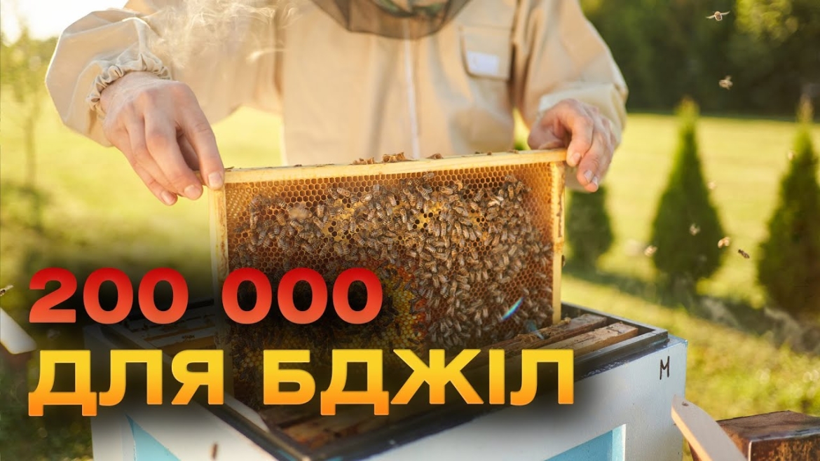 Embedded thumbnail for Як Вінницька громада допомогла пасічникам збільшити виробництво меду