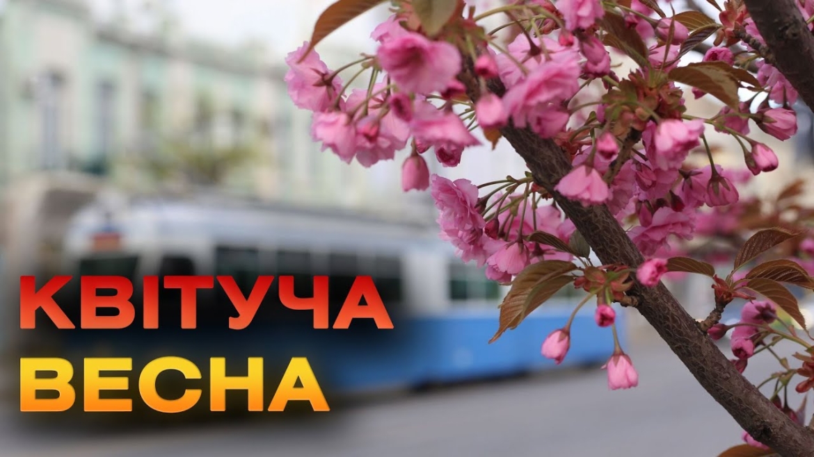 Embedded thumbnail for Весняна фотозона: у Вінниці розцвіли сакури та магнолії