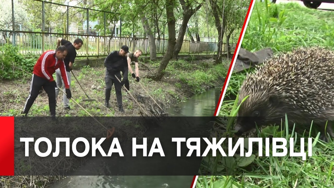 Embedded thumbnail for Працівники &quot;Зеленбуду&quot; долучилися до толоки на річці Тяжилівка у Вінниці