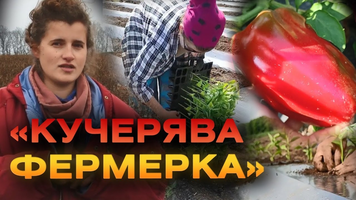 Embedded thumbnail for За грантові 25 тисяч євро у Клекотині фермерка планує побудувати теплицю