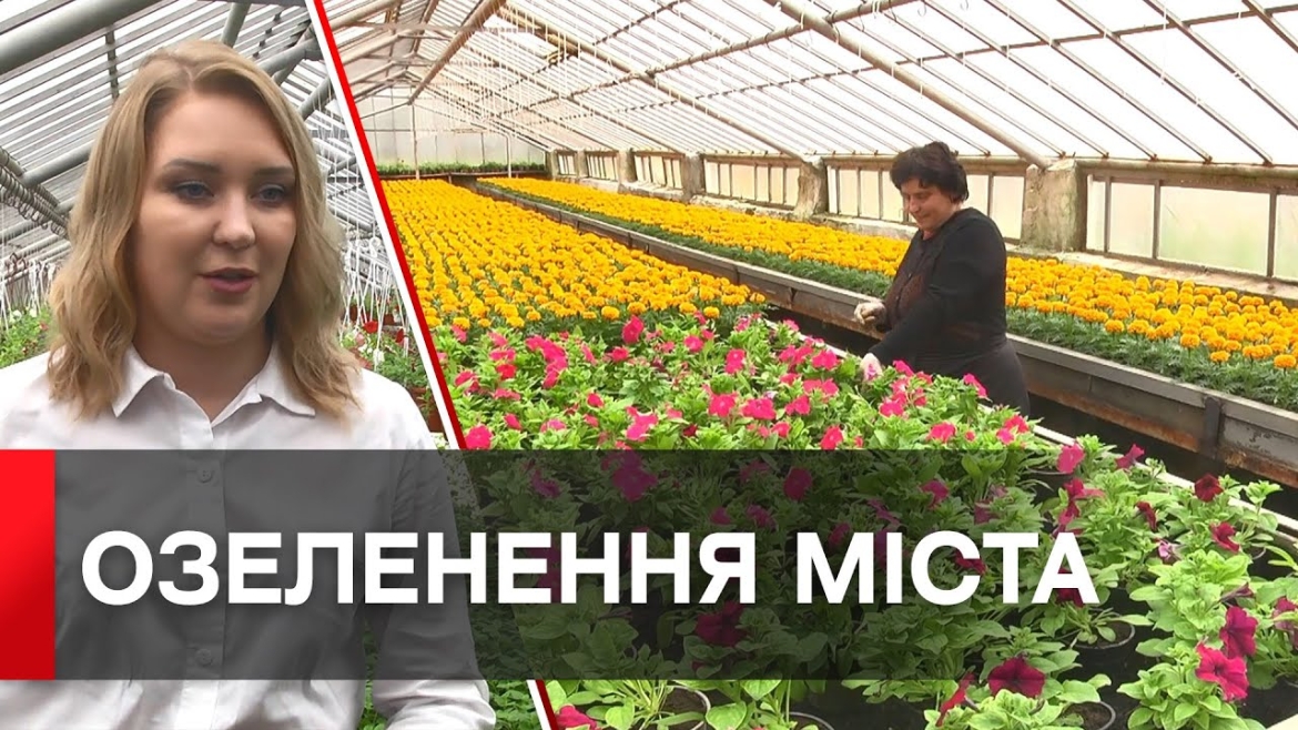 Embedded thumbnail for У &quot;Вінницязеленбуді&quot; розповіли, як доглядають за саджанцями квітів