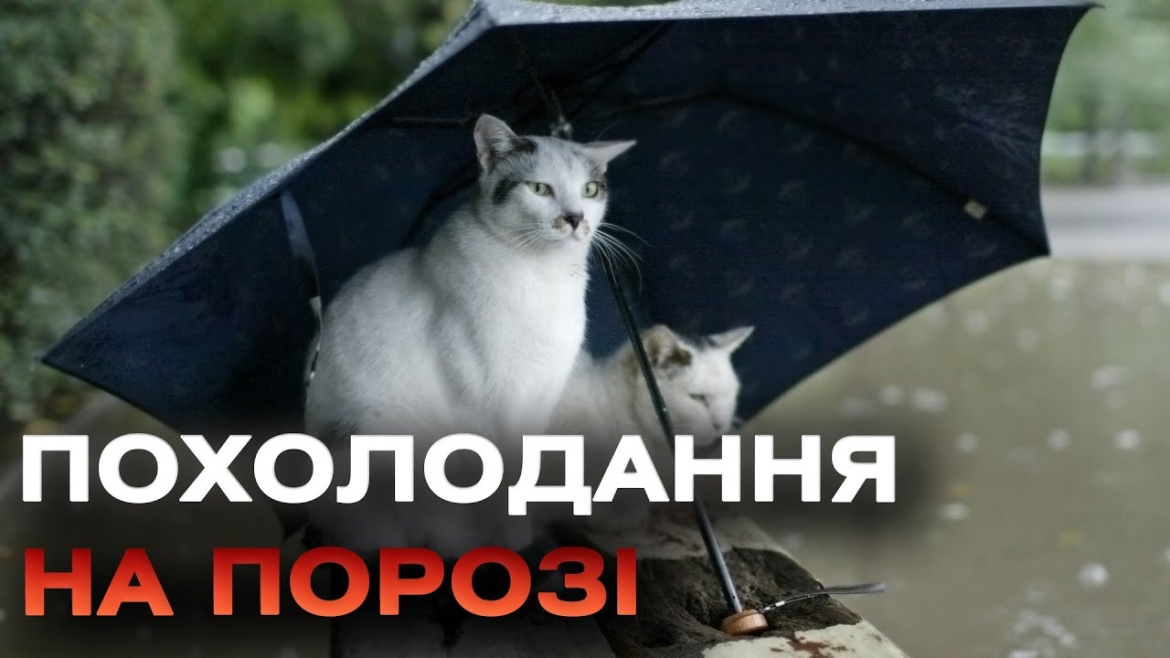 Embedded thumbnail for Дощі та грози наближаються: прогноз погоди на тиждень для Вінниччини