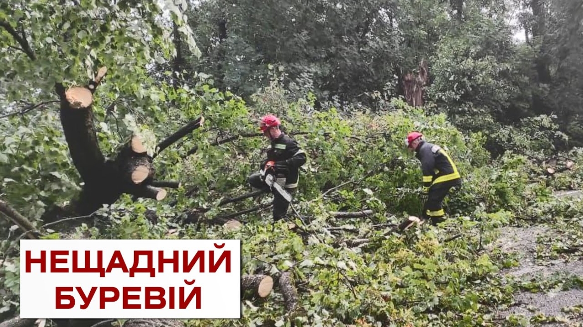 Embedded thumbnail for У Вінницькому районі вітер повалив на дорогу понад півсотні дерев