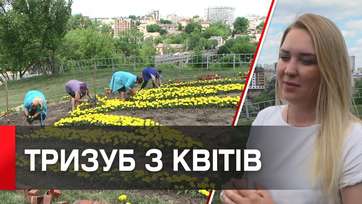 Embedded thumbnail for У Вінниці на Замковій горі знову висадили Герб України з квітів