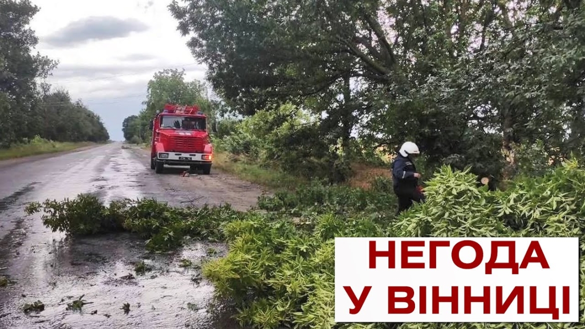 Embedded thumbnail for У Вінниці енергетики лагодять мережі після грозової ночі