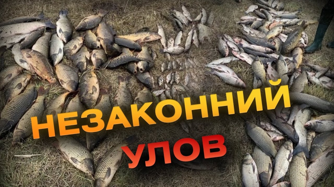 Embedded thumbnail for Рибоохоронний патруль зловив браконьєрів