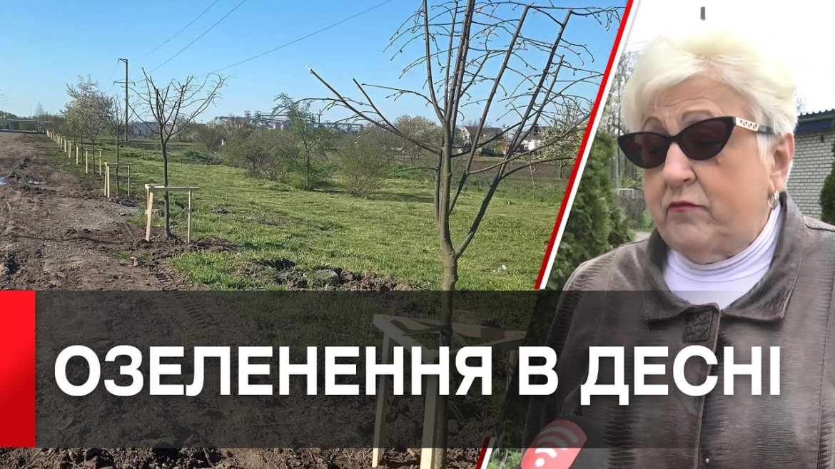 Embedded thumbnail for У Десні вздовж вулиці Лесі Українки висадили липи та каштани