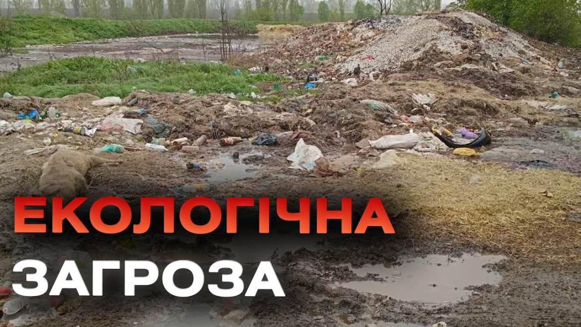 Embedded thumbnail for Звалище з тваринними рештками виявили на Вінниччині