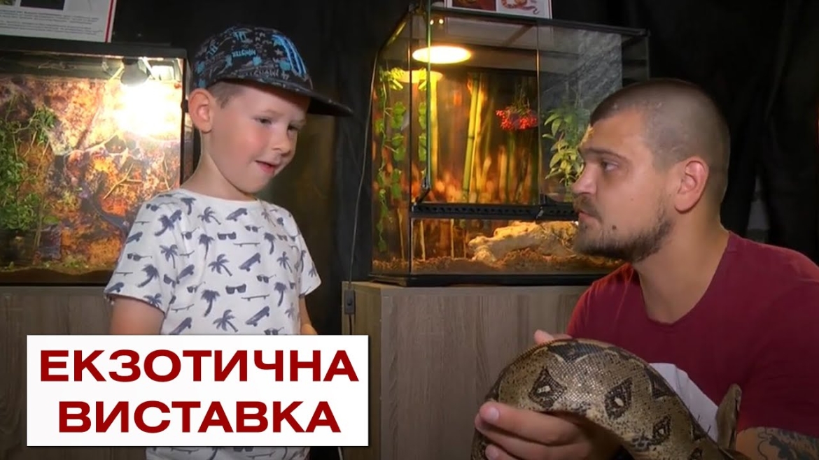 Embedded thumbnail for Харківська екзотична виставка відкрилась у Вінниці