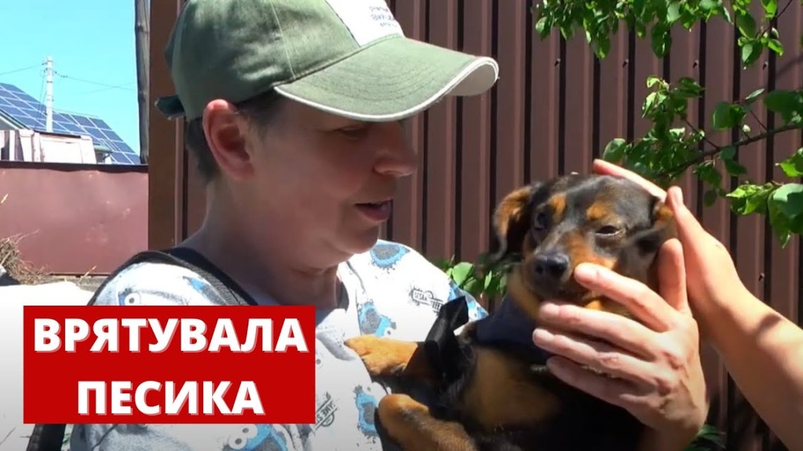 Embedded thumbnail for Постраждалого в ДТП песика врятувала зооволонтерка