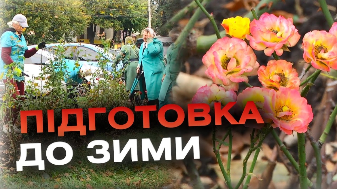 Embedded thumbnail for Працівники “ВінницяЗеленбуду” готують зелені насадження до зими