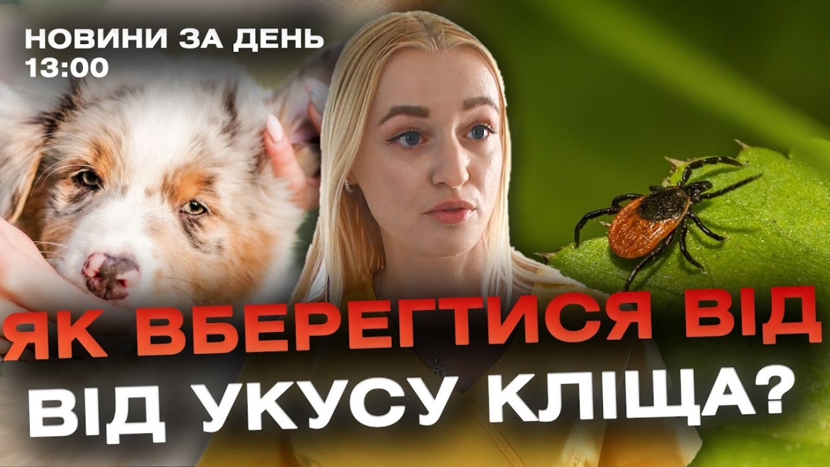 Embedded thumbnail for Новини за день — 10 квітня 2024 року, станом на 13:00