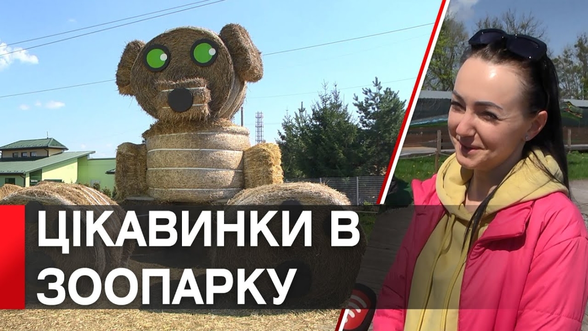 Embedded thumbnail for Гігантський ведмідь із соломи та знайомство з таємницями Всесвіту: новинки у Подільському зоопарку