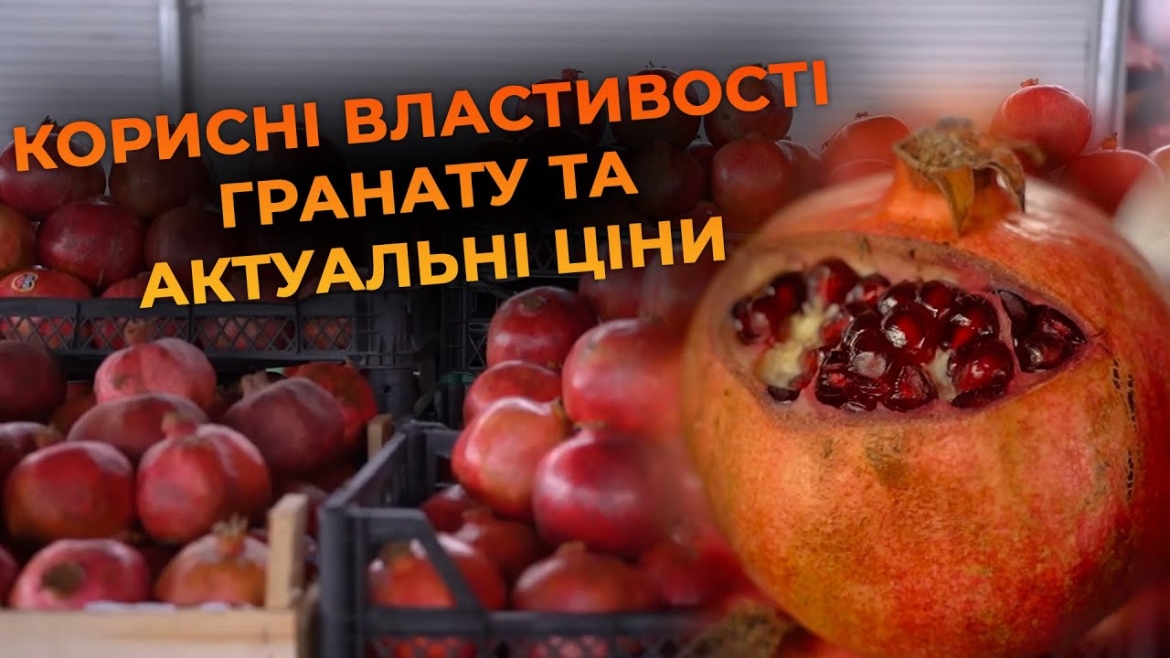 Embedded thumbnail for Все про гранат: актуальні ціни на вінницькому ринку, як правильно обрати та почистити