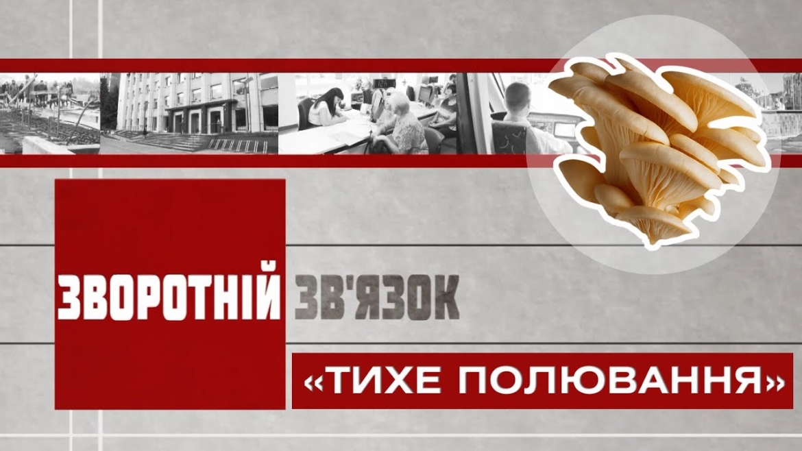 Embedded thumbnail for «Зворотній зв’язок»: як не стати жертвою «тихого полювання» (відео)