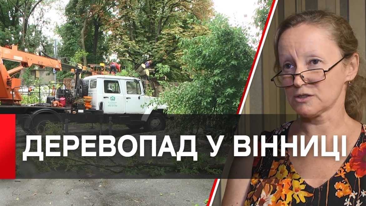 Embedded thumbnail for Сильний вітер повалив дерева на дорогах міста