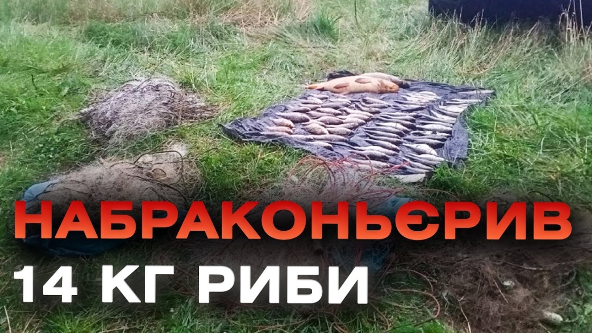 Embedded thumbnail for У Південному Бузі браконьєр виловлював рибу сітками