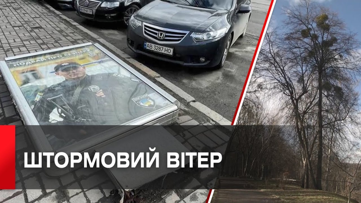 Embedded thumbnail for Сьогодні, 21 лютого, сильний вітер повалив чимало дерев у Вінниці та області