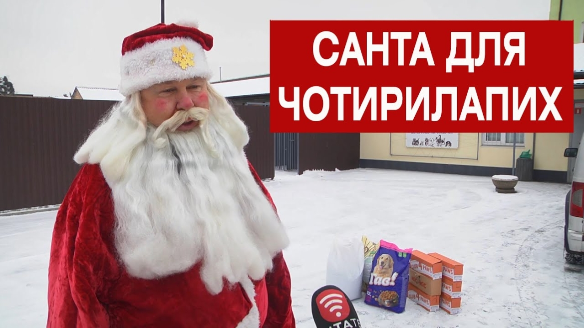 Embedded thumbnail for Санта для чотирилапих