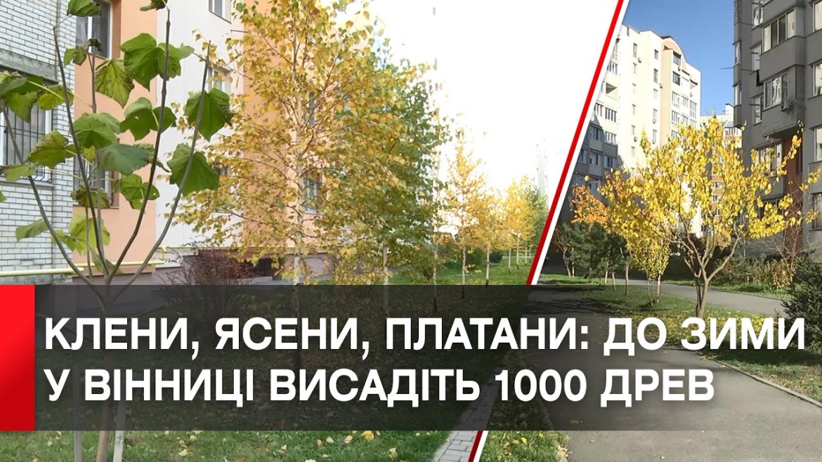 Embedded thumbnail for У Вінниці на прибудинкових територіях висадять 1000 дерев