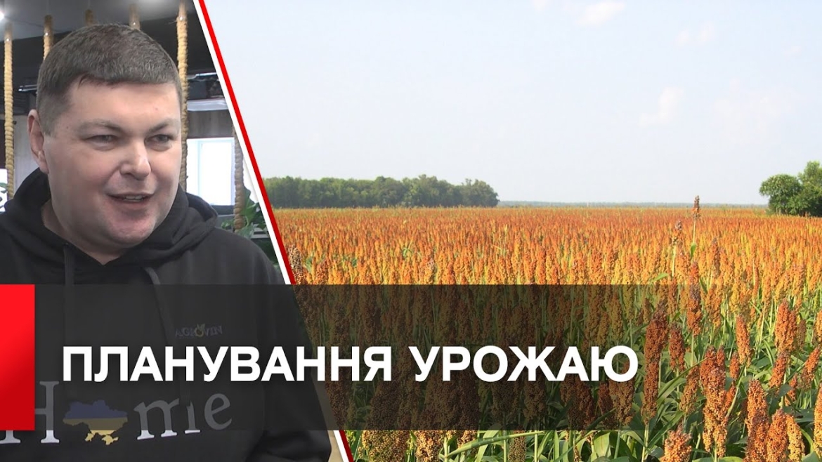 Embedded thumbnail for На Вінниччині вирощуватимуть цукрове сорго