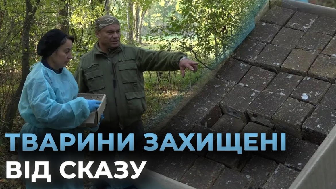 Embedded thumbnail for Захист від сказу: на Вінниччині триває вакцинація лисиць та інших хижаків